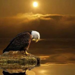 Meet your Posher, Scott